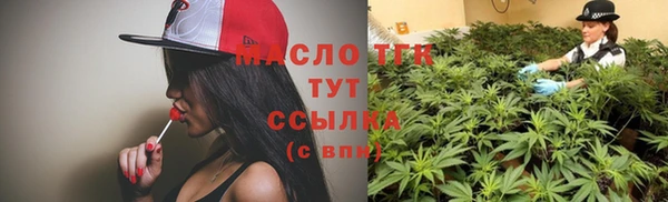 гашик Инсар