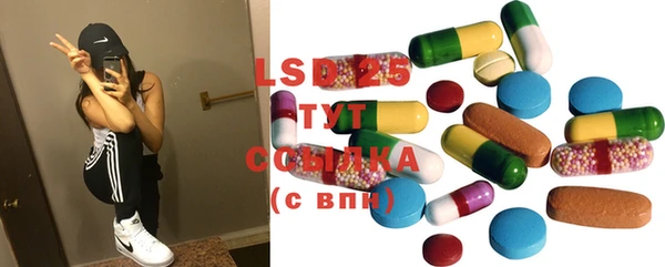 спайс Инта