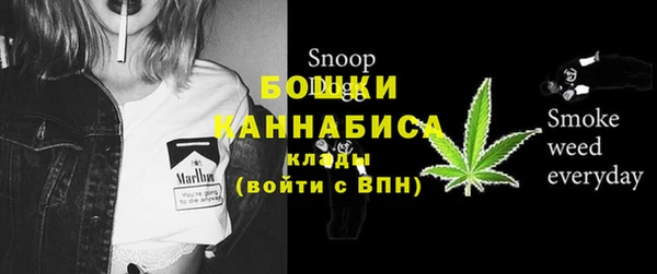 гашик Инсар
