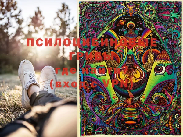 спайс Инта