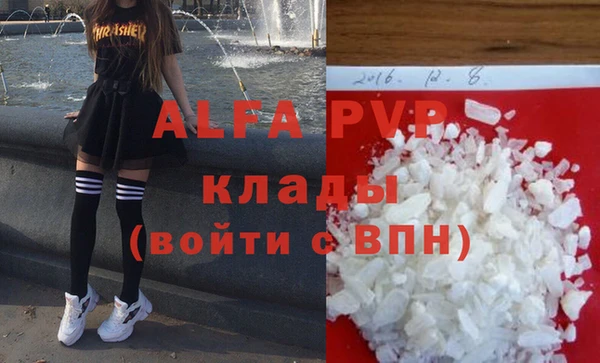 гашик Инсар