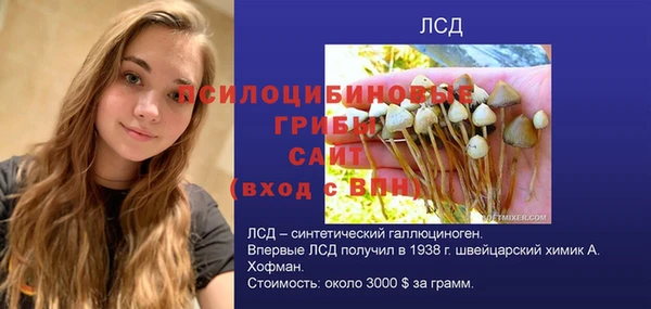 гашик Инсар