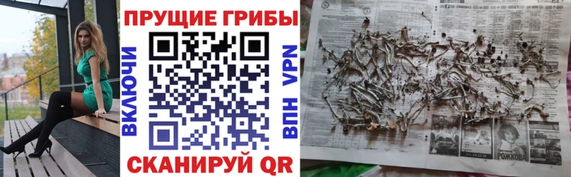 Псилоцибиновые грибы Magic Shrooms  Ливны 