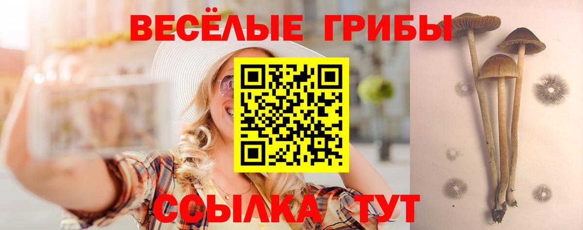 где можно купить   Галлюциногенные грибы Magic Shrooms  Псилоцибиновые грибы мухоморы  Вход с VPN  Ливны 